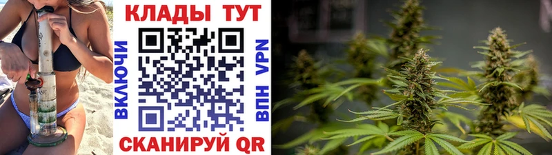 Где купить наркотики Новое Девяткино Бошки Шишки Alpha PVP Галлюциногенные грибы МЕФ АМФЕТАМИН