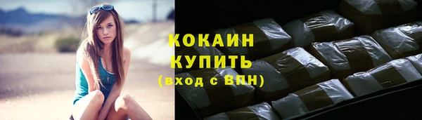 соль ск Няндома
