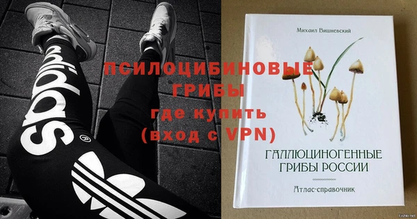 соль ск Няндома