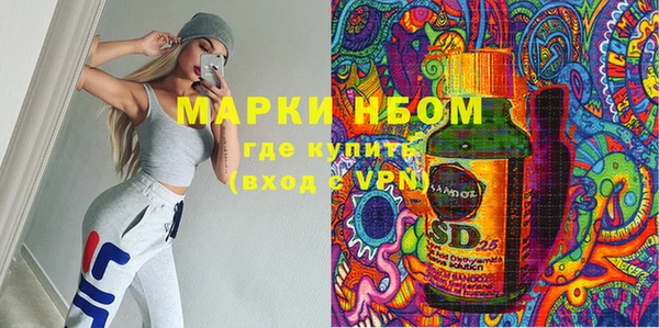 соль ск Няндома