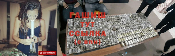 соль ск Няндома